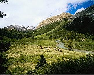 任天堂美服开启黑五优惠 多款游戏参与打折