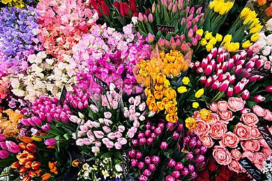 《战争机器：重装上阵》Steam褒贬不一 绑定微软账号一直闪退