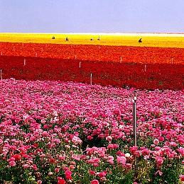 《狙击精英5》电影手法预告 强烈的沉浸感